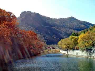 管家婆黑白马报图库，爱情都市